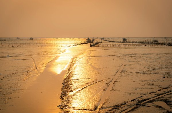 Visiter le mexique : explorez ses destinations incontournables !