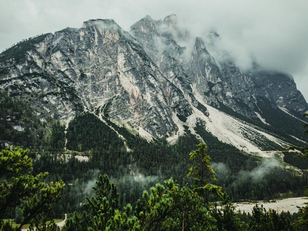 Truckandbusworldforum