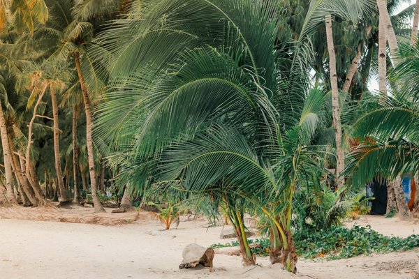 Visiter bordeaux : entre histoire et découvertes inoubliables